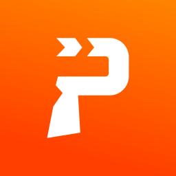 Ponttual Driver icon