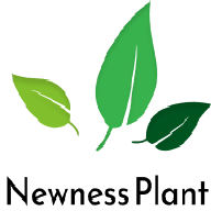 Newness Plant icon