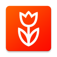 Flowwow icon