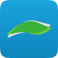 Facial icon