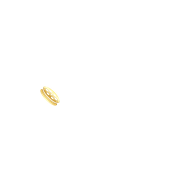 Reeload icon