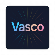Vasco icon