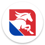 Petroly Station icon