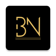 Bullion Nerve icon
