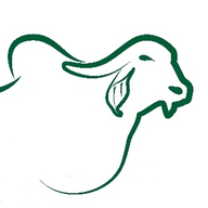 Gauneeti Delivery Boy icon