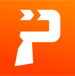 Ponttual icon