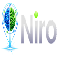 Niro icon
