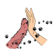 VET DRUXS icon