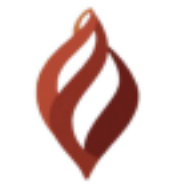 VIMS Patient App icon