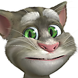 Talking Tom 2 icon