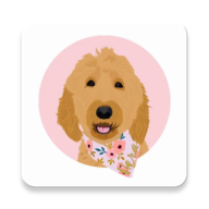 Hera-Dqa icon