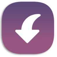 Insget icon