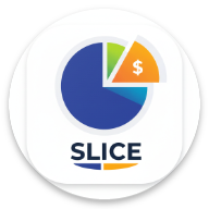 Slice icon