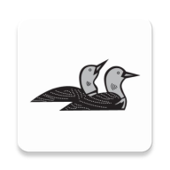 Loon River icon