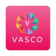 Vasco icon