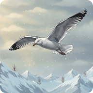 Seagull Sky Fly icon