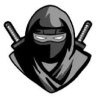 Delta Executor 2.706 APK Downl icon