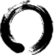  Zen Interviewer Pro icon