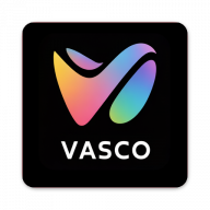 Vasco icon