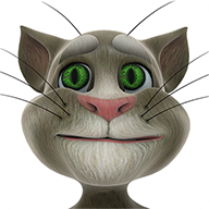 Talking Tom Cat icon