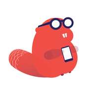 SmartSplit icon