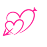 NajdiPartnerja icon
