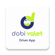 DV Driver icon
