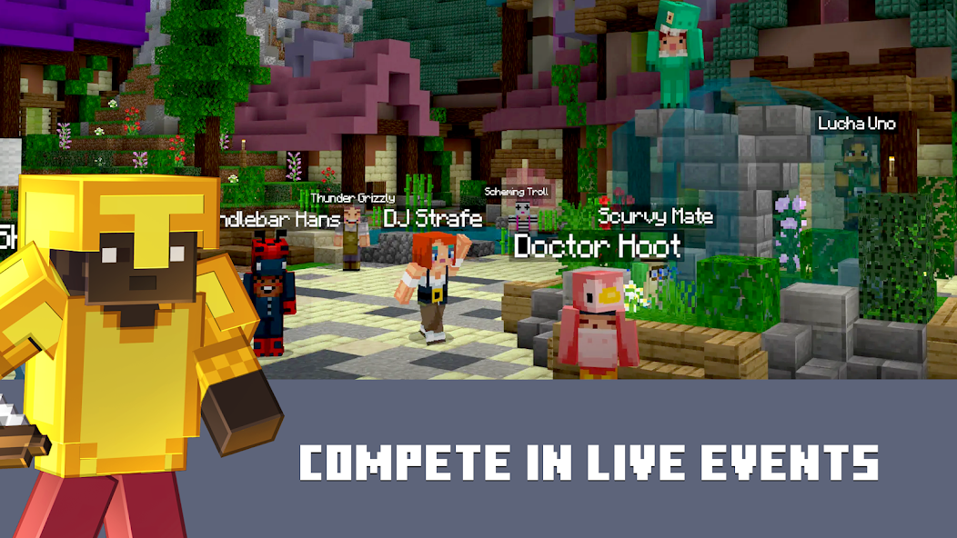 Minecraft Screenshots5