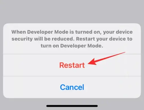 Enable iOS Developer Mode