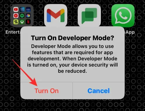 Enable iOS Developer Mode