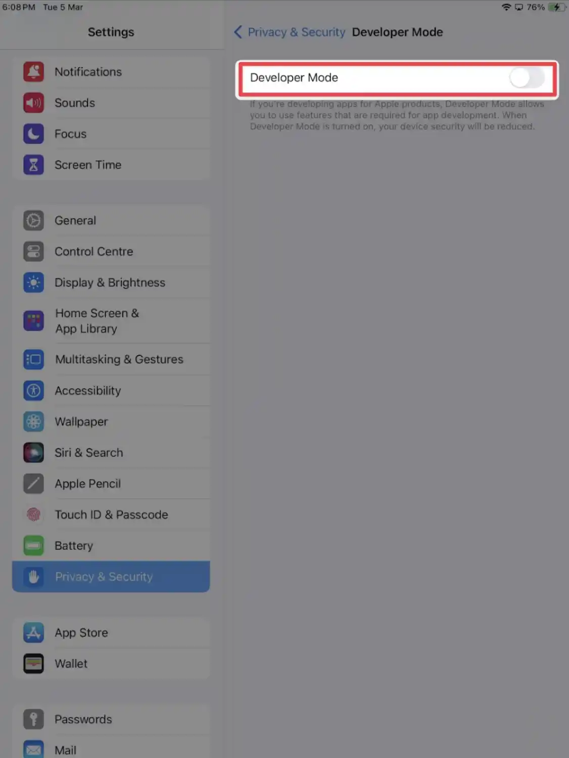 ipad developer mode